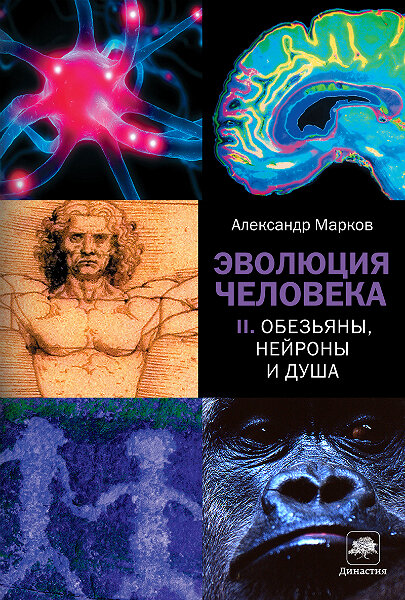 <a href=http://www.corpus.ru/products/evolution-2.htm>  <b>Александр Марков</b> Эволюция человека. Книга 2. Обезьяны, нейроны и душа</a>