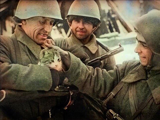 <p>Советские солдаты с кошкой&nbsp;в Сталинграде<br />
<br />
&nbsp;</p>