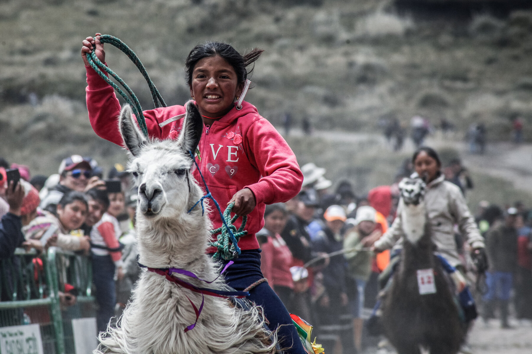 <p>Традиционные гонки на ламах в Эквадоре</p>