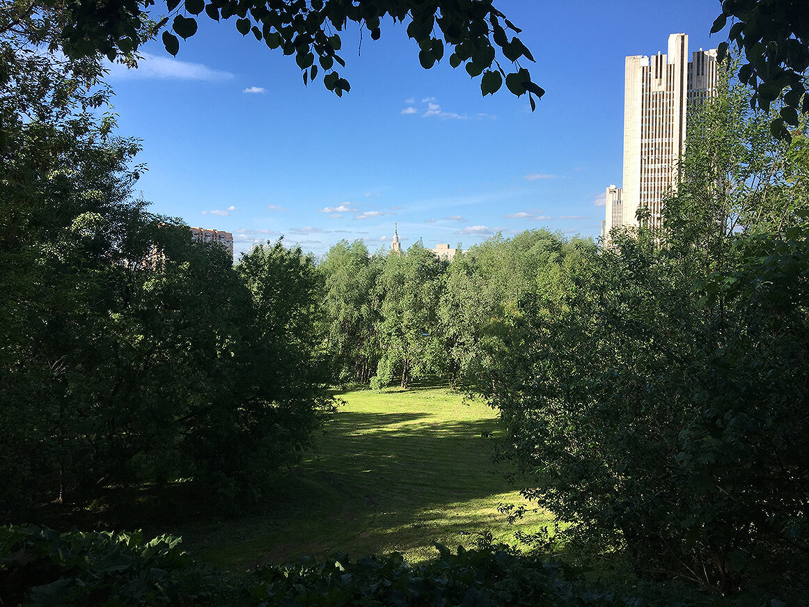 <p>Вид на Парк 50-летия Октября из домов 49 и 51 на улице Удальцова, которые попали в список под снос. Площадь парка &mdash; около 67 гектаров, рядом есть река Раменка.</p>