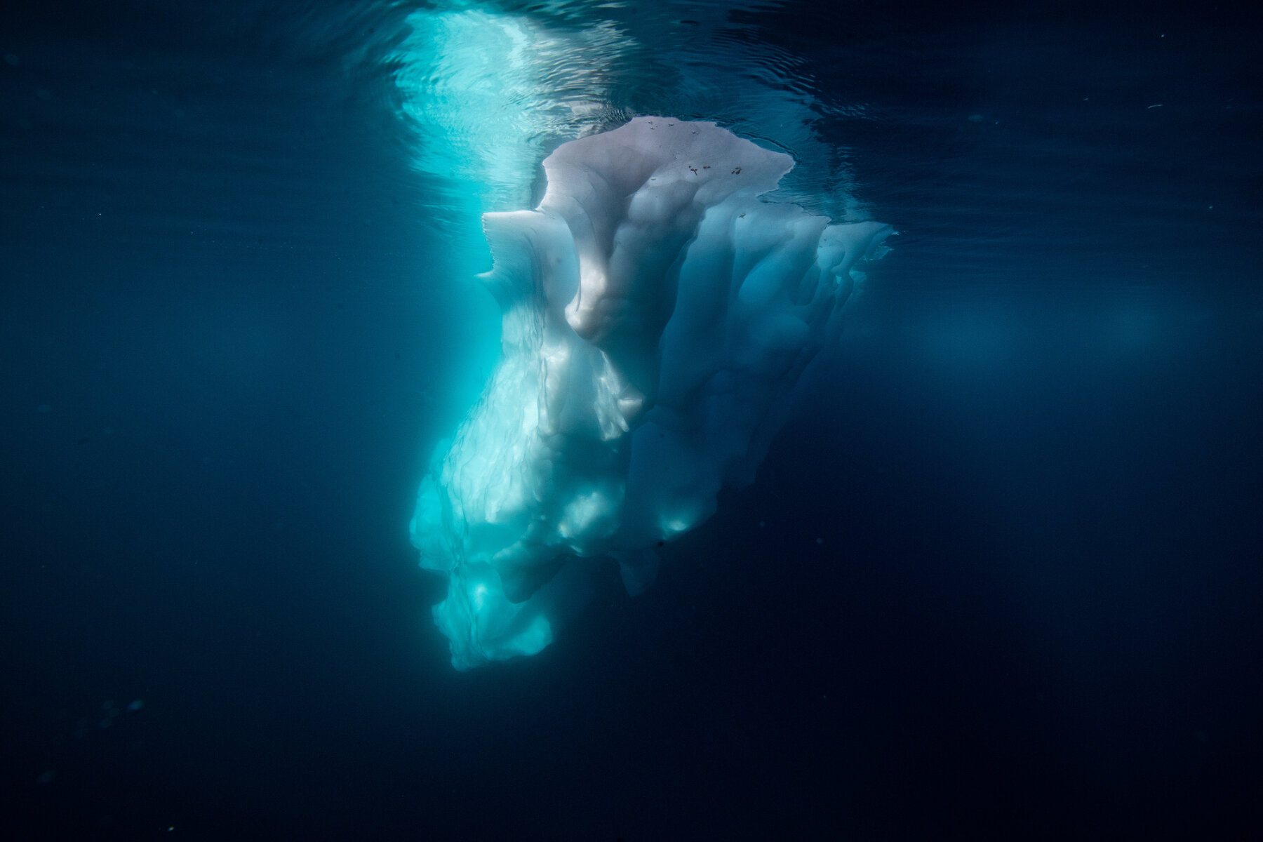 <p>В солнечные февральские дни, когда Антарктическое лето в самом разгаре, айсберги как будто светятся под водой</p>