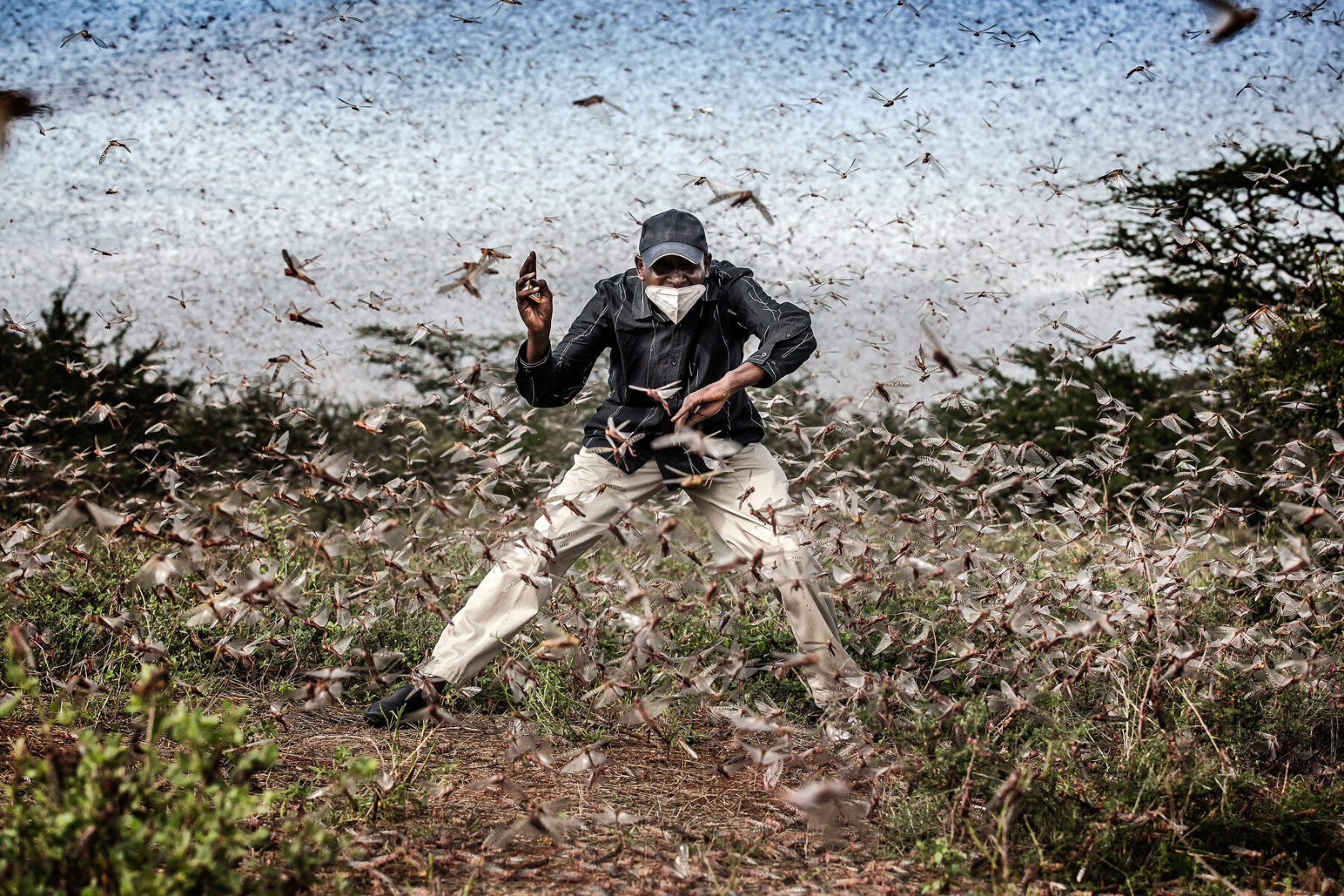 Fighting Locust Invasion in East Africa. <p>Номинация &laquo;Снимок года&raquo;. Чиновник пытается распугать большую стаю саранчи в поселке в Кении</p>