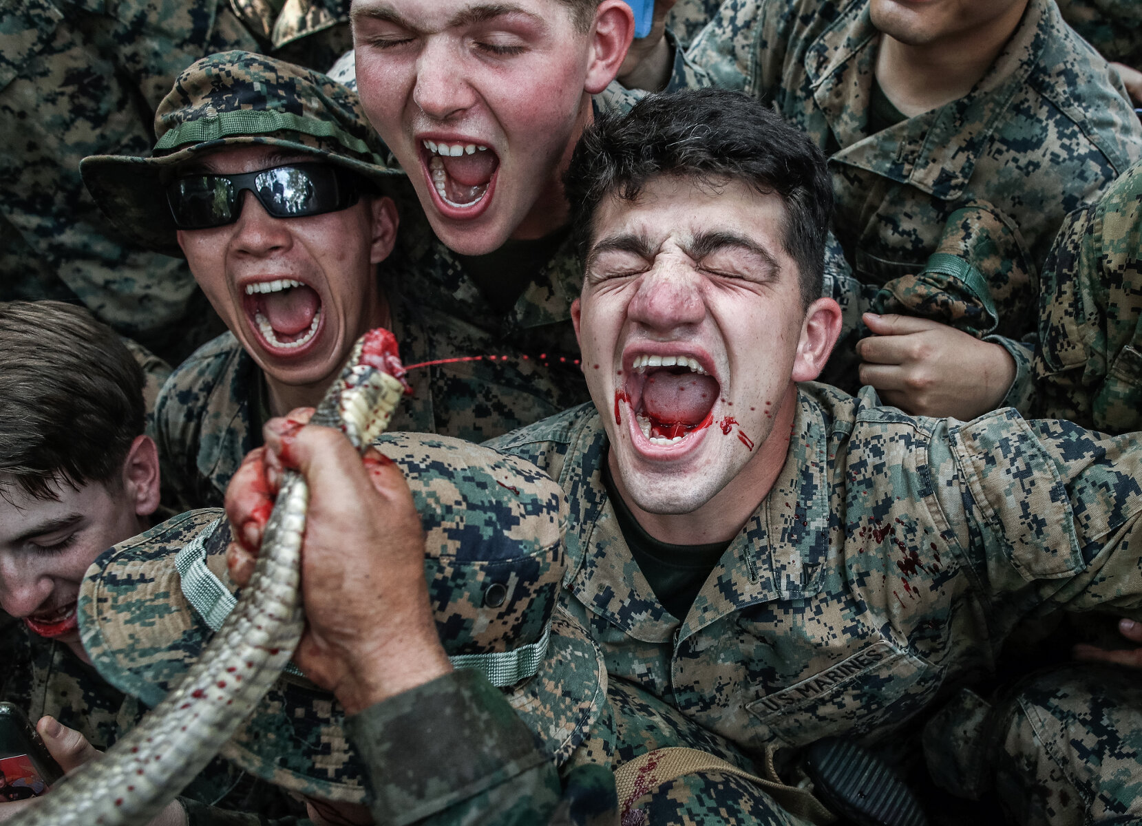 <p>&laquo;Морские котики&raquo; США на базе в Таиланде пьют кровь кобры, предложенную местными солдатами во время международных учений</p>
