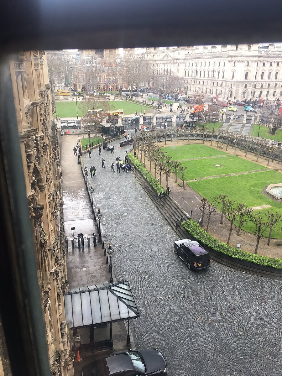 <p>Вид из окна британского парламента</p>