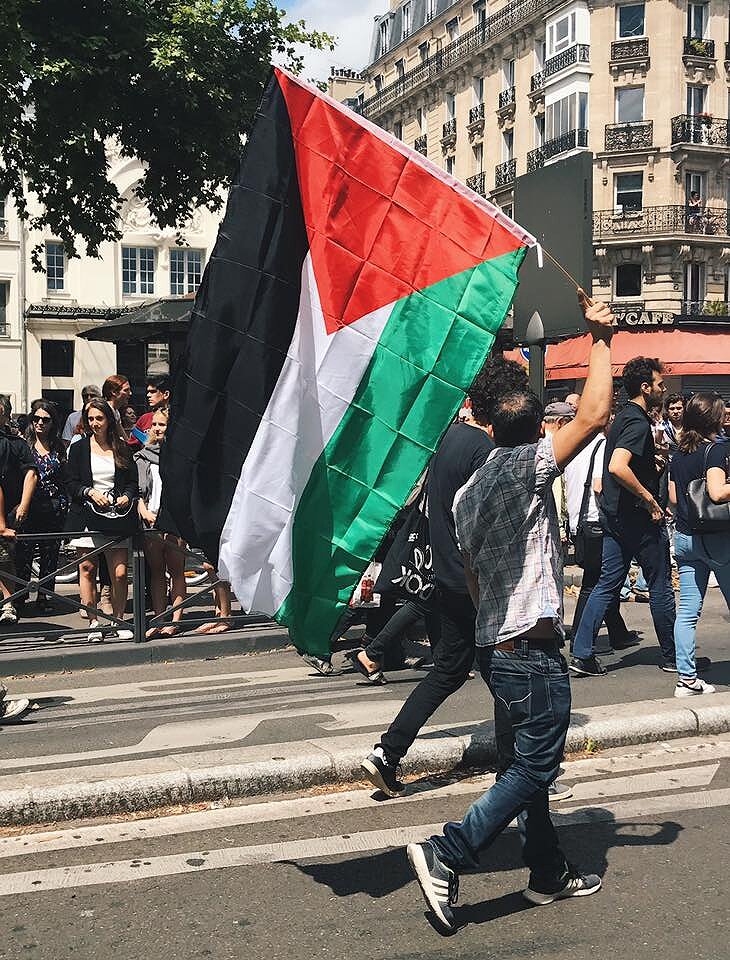 <p>Протестующий с флагом Палестины.</p>