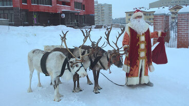 В Сургуте Дед Мороз с оленем зашли в магазин сувениров
